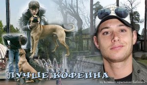 Лучше кофеина