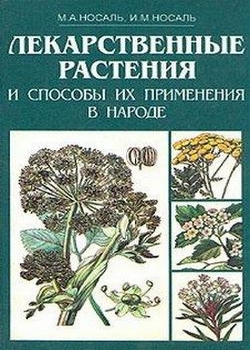 Лекарственные растения и способы их применения в народе