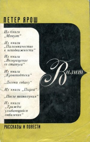 Визит. Рассказы и повести