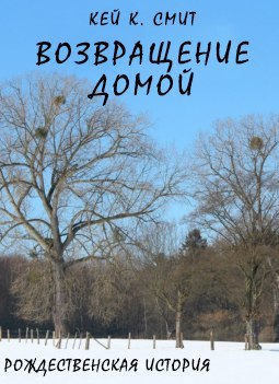 Возвращение домой. Рождественская история