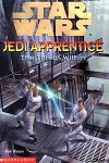 Jedi Apprentice 18: The Threat Within