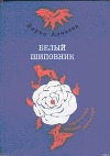 Самый красивый конь (илл.)