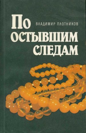 По остывшим следам (Записки следователя Плетнева)