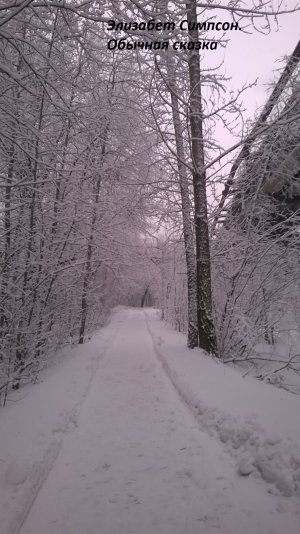 Обычная сказка