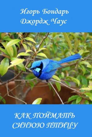 Как поймать синюю птицу