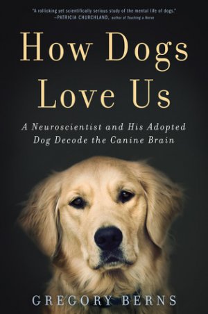 How dogs love us. A Neuroscientist and His Adopted Dog Decode the Canine Brain