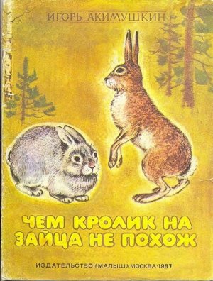 Чем кролик на зайца не похож (с илл.)