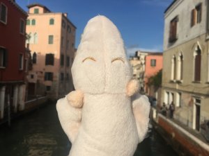 Мик в Венеции