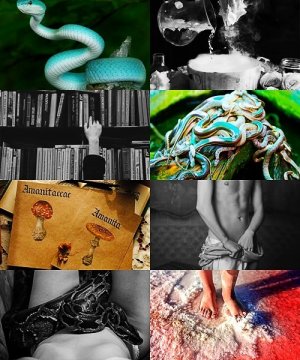 Главное — хвост!