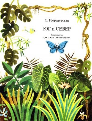 Юг и север